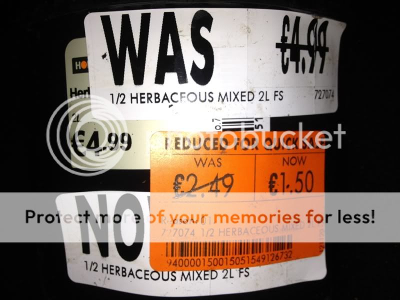 Photobucket Pictures, Images and Photos